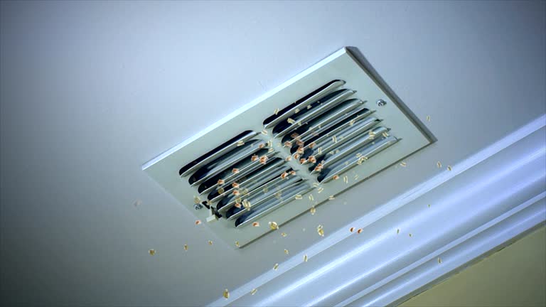 Best Affordable HVAC Duct Cleaning  in Cedar Park, TX
